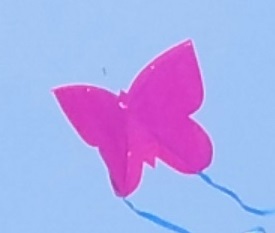 蝶の凧