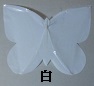 白の蝶